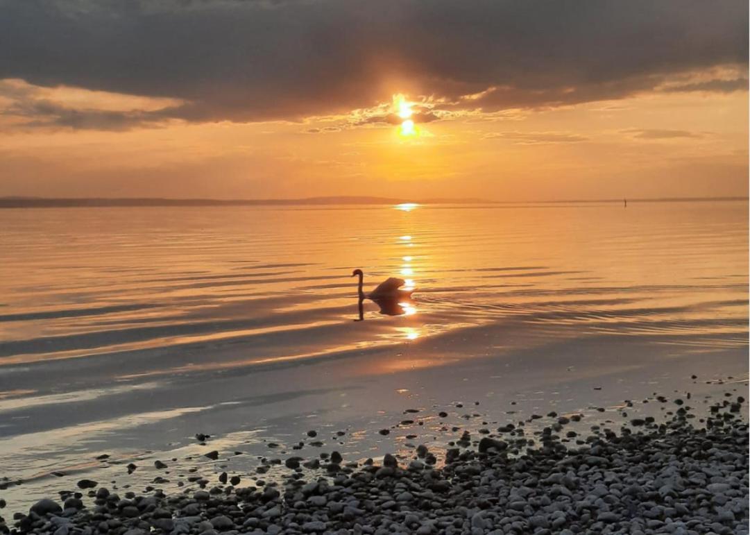 Ferienwohnung Morgensonne Langenargen Kültér fotó