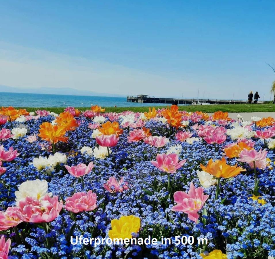 Ferienwohnung Morgensonne Langenargen Kültér fotó